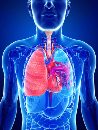 Foto: sankalpmaya / iStock.com