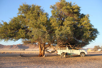 notre camp à Sesriem