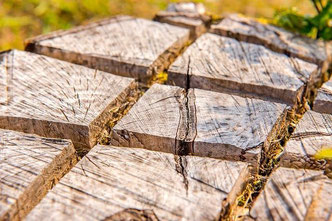 Mit der Stubbenfräse wäre das Entfernen der Baumstümpfe und Baumwurzeln schneller und einfacher - Betonmischer, Blockhaus, Holzhaus, Bauen, Hausbau, Holz, Blockhausbau, Streifenfundament, Eigenheim, Baustelle, Blockhaus bauen, Baumaschinen, Baugeräte, Bau