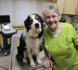 Dr. Anita Gruber, prakt. Tierärztin, Gründerin dieser Dithmarscher bzw. Heider Kleintierpraxis  und Hund Stine