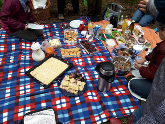 Picknick lecker Kuchen, gute Speisen, Getränke, Bier