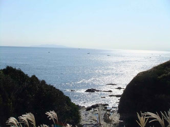 神奈川県　三浦　レンタサイクル