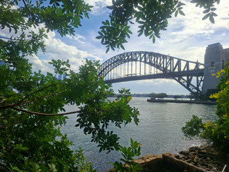 Sydney Harbour Bridge seen through gree tree branches from Kirribilli, Australia