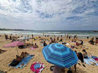Red and blue sun umbrellas on Manly Beach, Sydney