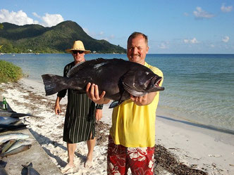 Seychelles fishing Grouper bottom catch