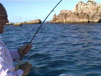 Seychelles fishing fly fishing fight