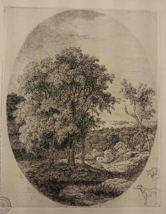 Charmier, Boqueteau près de la Serve, vers 1850 (BM Lyon Res Est 28211)