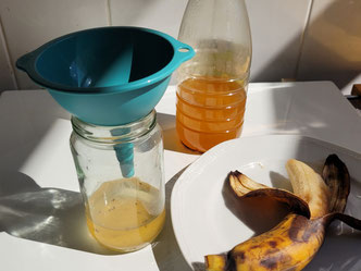 Fruchtfliegen - Taufliegen - Obstfliegen - Essigfliegen - Kleine Plagegeister im Sommer - Lebendfalle - Fruchtfliegenfalle - Küche - Wohnung