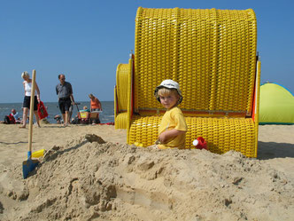 Labels, Logos und Zertifikate gibt es wie Sand am Meer - Raumklima, Fertighaus, Hersteller, Steinhaus, Erfahrung, Nachhaltig bauen, Energiesparhaus, Fertighäuser, Innenluft, Prüfsiegel, Prüfzeichen, Gütegemeinschaft, CE-Kennzeichnung, Ü-Zeichen