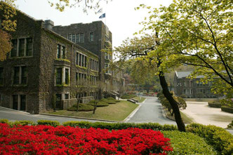 yonsei university