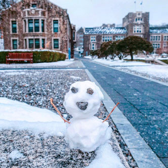 yonsei university