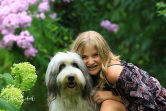 Hundefotografie Hundfotograf Hund Hunde Fotoshooting Preise Preisliste Konditionen