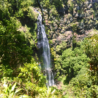 Morans waterfalls in the lamington O'reilly national park in queensland australia