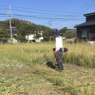 草刈り作業の様子。伸びた雑草を刈り取り、キレイな仕上がりに