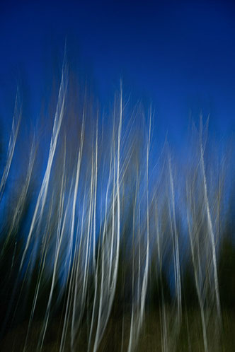 Foto: Peter Liebthal