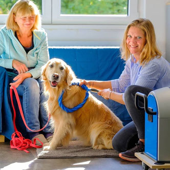 Kunde, und Trainer bei Rehatronanwendung beim Hund