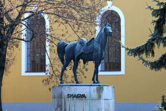 Statue von Shagya db 1836 im Natiobnalgestüt Bábolna