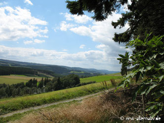 Ausblick ins Tal von einem Wanderweg in Winterberg