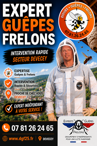 Destruction de nid de guêpes et frelons à Devecey dans le Doubs.