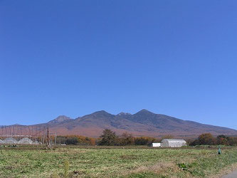 西岳、編笠山、等を望む