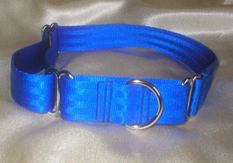 Martingale, Halsband, 2,5cm, Gurtband königsblau