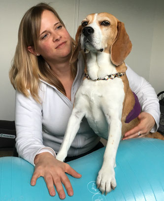 Hunde-Fitness, Therapie und Prävention in der Zentralschweiz