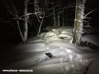 Pfälzer_Wald_Nachtwanderung_wandern_Schnee