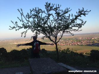 Wandern_Pfälzer Wald_Pfalz_Weinstraße_Rheinebene_Ausblick_Michelskapelle