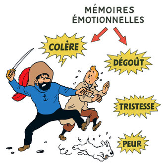 Mémoires émotionnelles - Peur Colère Tristesse Dégoût