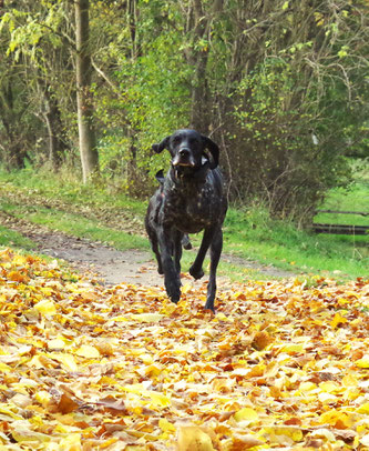 Herbst in Rüting