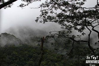 Knuckles Mountains, Sri Lanka, Wildlife, Conservation, Elephants, Safari, Leopard, Adventure, Lodge, Camp, Hike, Trekking, Hiking, Travelsrilanka, holiday, Elephant, Asian Elephant, Nationalpark, Guiding, Wildlife, Waterfall, Mountains