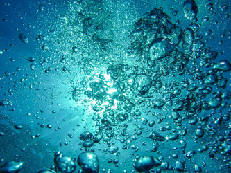 Martin StrによるPixabayからの画像 (水の中)