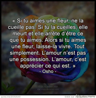 Lamour Véritable Amour Inconditionnel La Nature De L - 