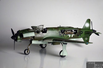 Dornier DO-335 - 1/32 by HK Models