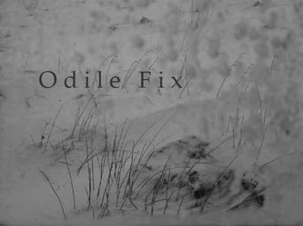 Odile Fix: Pierre d'incertitude