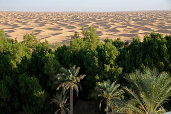 Oasis de Ksar Ghilane