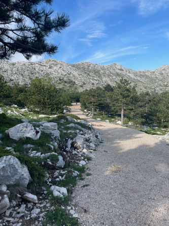 Biokovo-Gebirge 