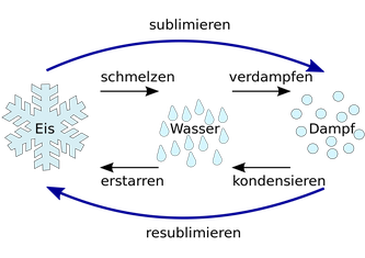 Wasser ein Lebenselixier - KGS Tornesch Pannewitz
