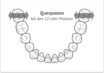 Querputzen der 12-Jahr-Molaren (© tearoad - Fotolia.com)