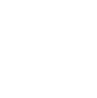Apartment Finkenberg