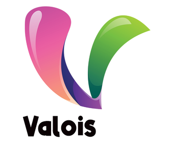 Valois Info Création imprimeur et digital à Crépy-en-Valois