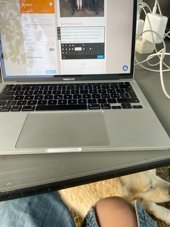 Laptop auf dem Tisch, Hund darunter