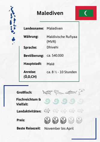 Tauchsafari Malediven