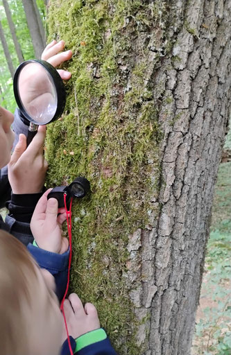 Kinder mit Lupe – Foto © Julia Griebel