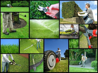 ludlows lawn care