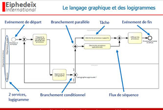 L'affectation des tâches et activités des processus se représente à l'aide de logigrammes dans la modélisation de processus