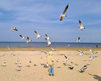 Boy surrounded by seagulls on beach in Jūrmala, Latvia