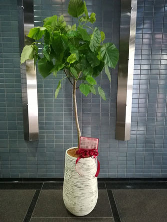 港区西麻布 中目黒から都内 全国即日配送 0点以上のおすすめサンプル掲載