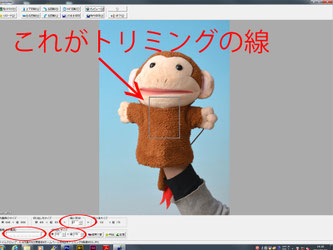 証明写真のトリミング方法の操作説明の写真4