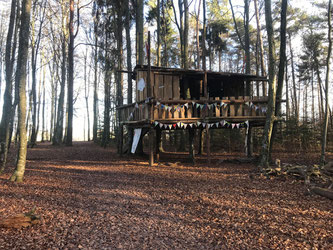 »Waldschulhaus Düdingen« Foto: Marco Perroulaz